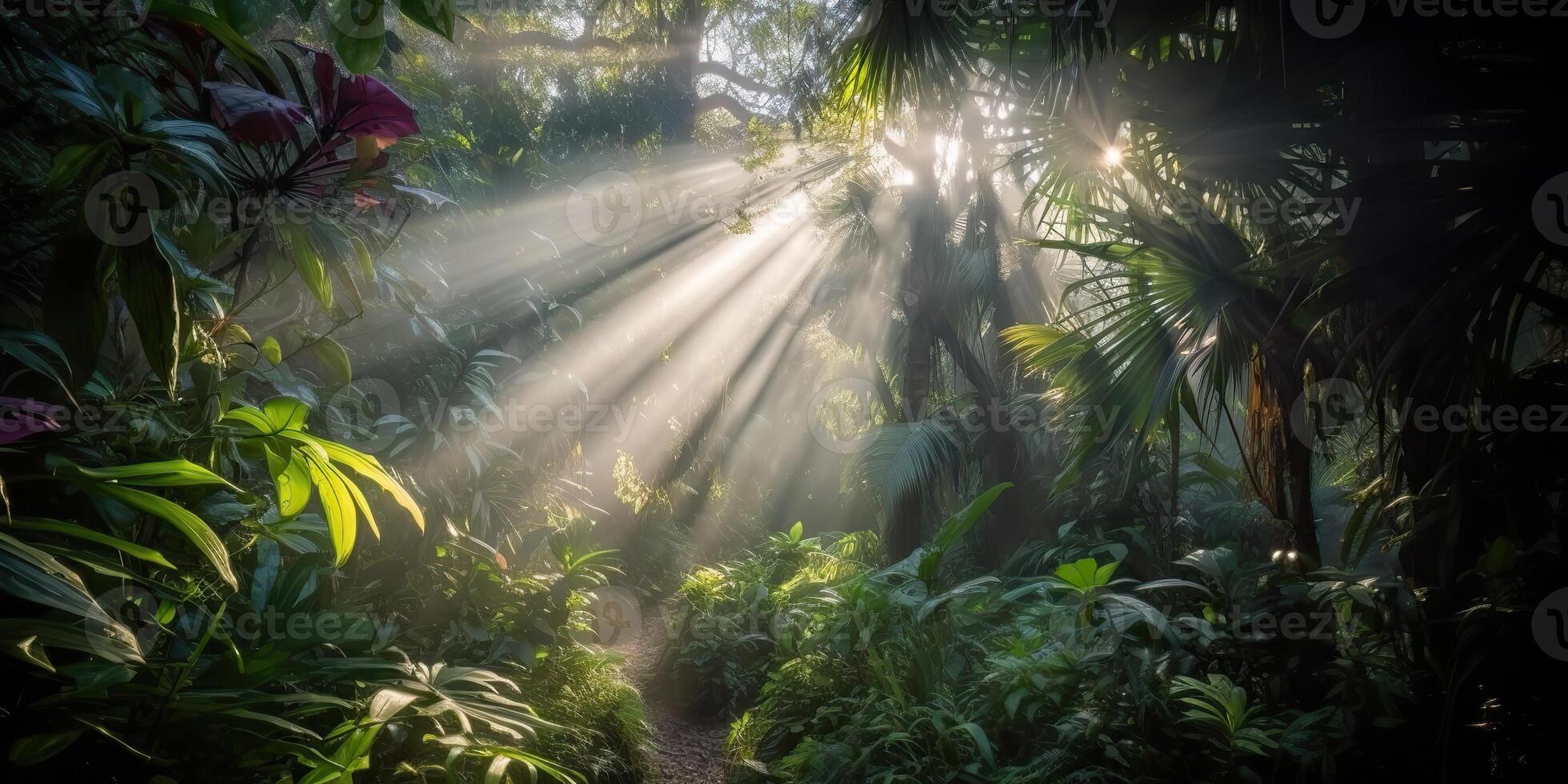 Tropical rain jungle deep forest with beab ray light shining. Nature outdoor adventure vibe scene background view photo