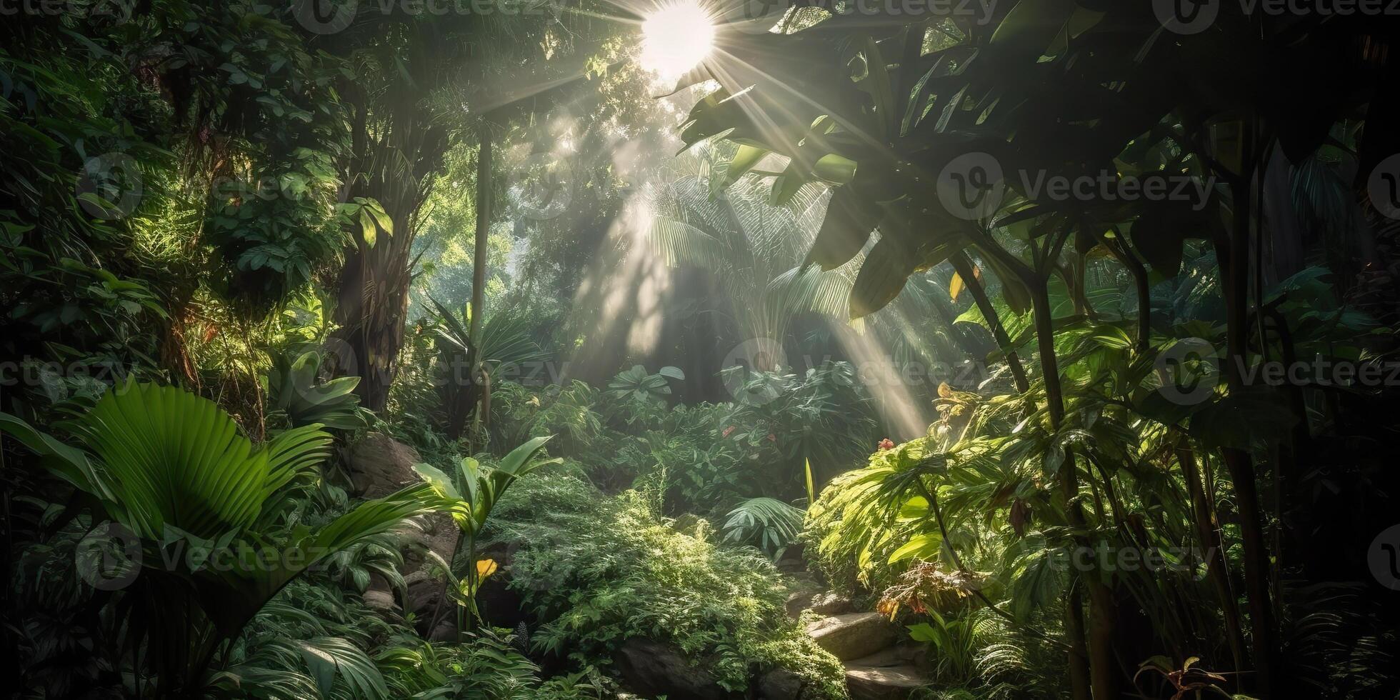 Tropical rain jungle deep forest with beab ray light shining. Nature outdoor adventure vibe scene background view photo