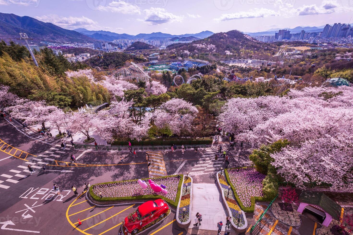 Cherry blossoms blooming in spring at E-World 83 Tower a popular tourist destination. in Daegu,South Korea. photo