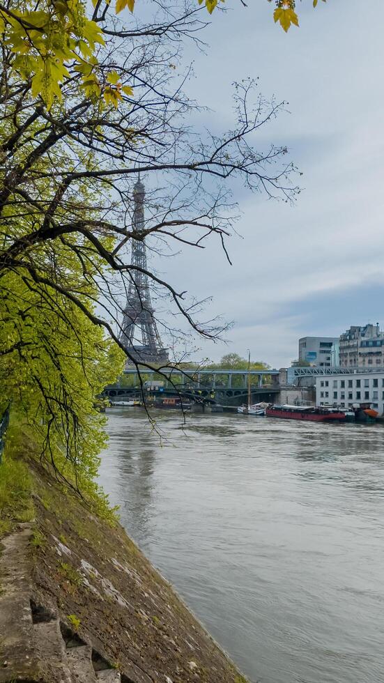 Springtime view of the Eiffel Tower with budding trees along the Seine River in Paris, France, captured on April 14th, 2024, ideal for travel and seasonal themes photo