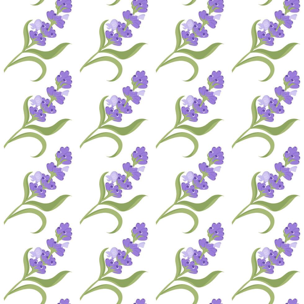 A sprig of lavender. Purple flower. Seamless pattern. illustration. vector