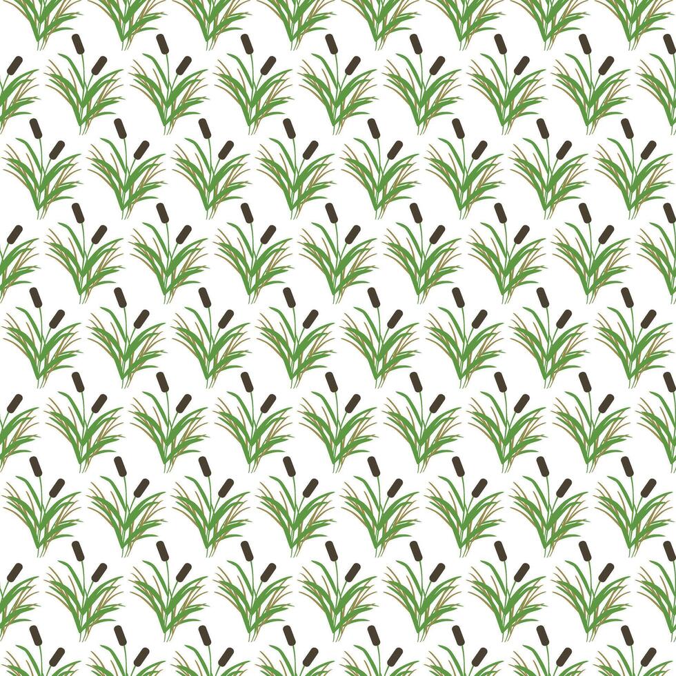 Swamp reeds, simple grass. Seamless pattern. illustration. vector