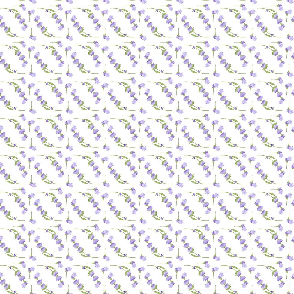 A sprig of lavender. Purple flower. Seamless pattern. illustration. vector