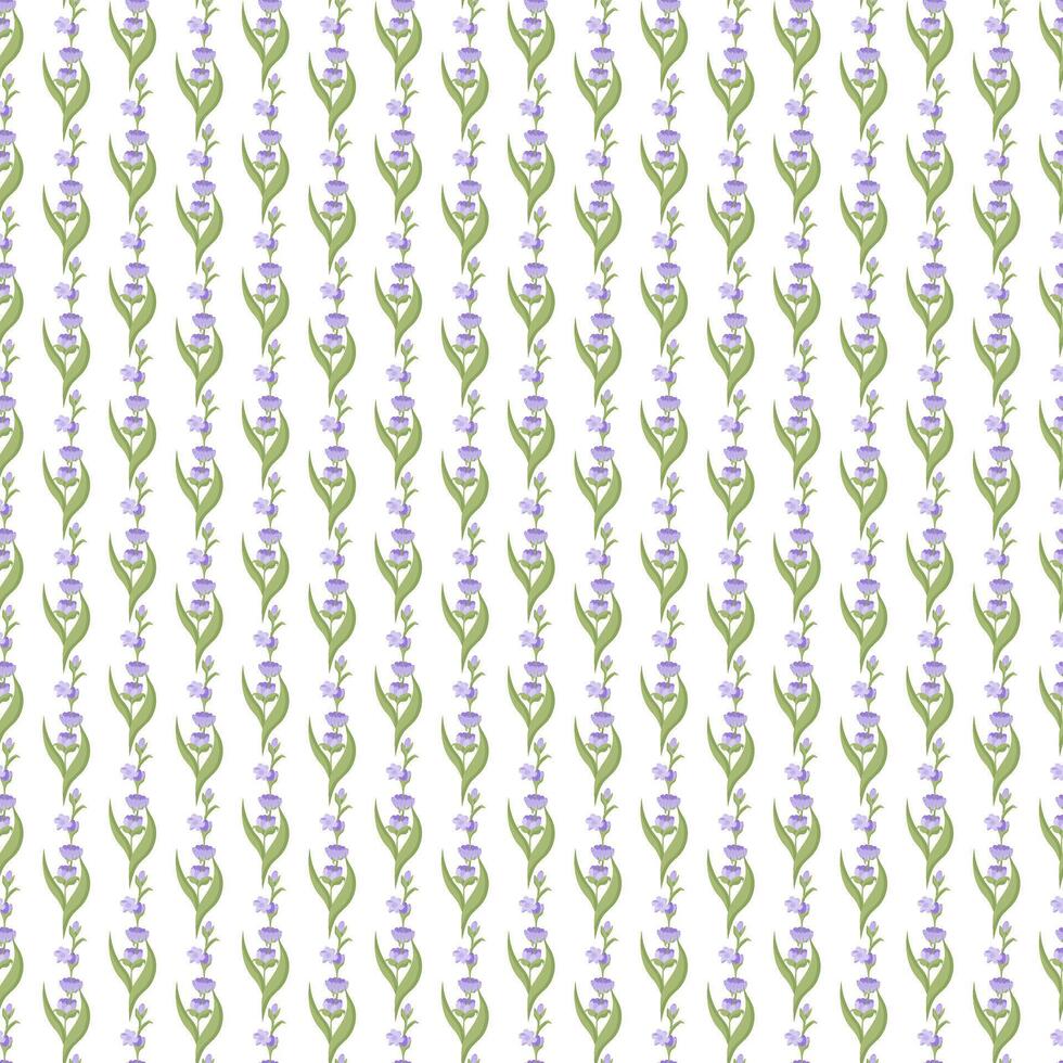 A sprig of lavender. Purple flower. Seamless pattern. illustration. vector