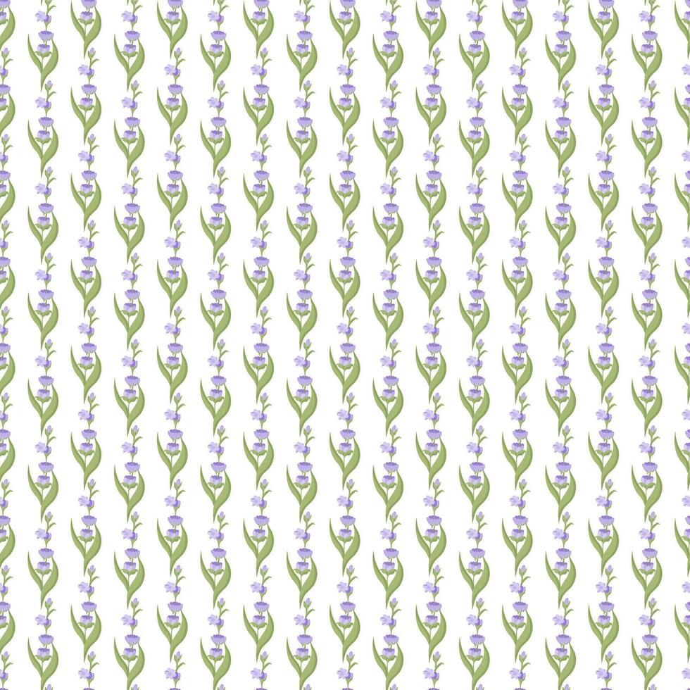 A sprig of lavender. Purple flower. Seamless pattern. illustration. vector