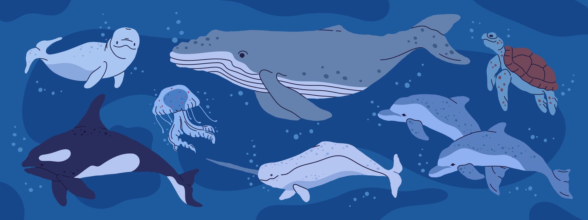 Wild ocean animals. Underwater fauna, whale, orca, turtle and jellyfish, hand drawn underwater aquatic animals flat illustration set. Antarctic nature aquatic animals collection vector