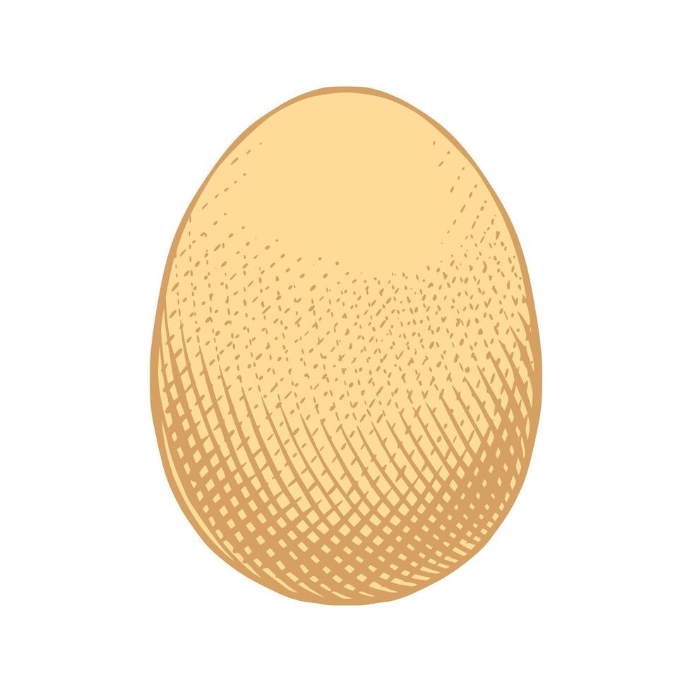 Engraving Illustration of Egg vector