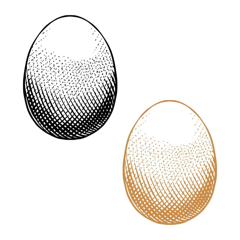 Egg Vintage Illustration vector