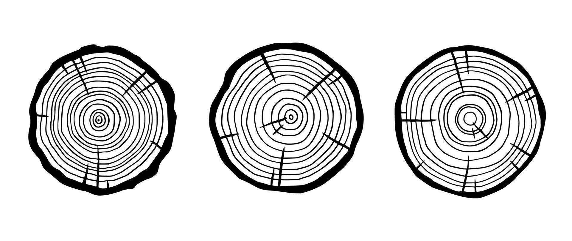 Tree ring wood circle set. Hand drawn tree ring pattern, line ripple circle wood texture. Wood organic slice line design. vector