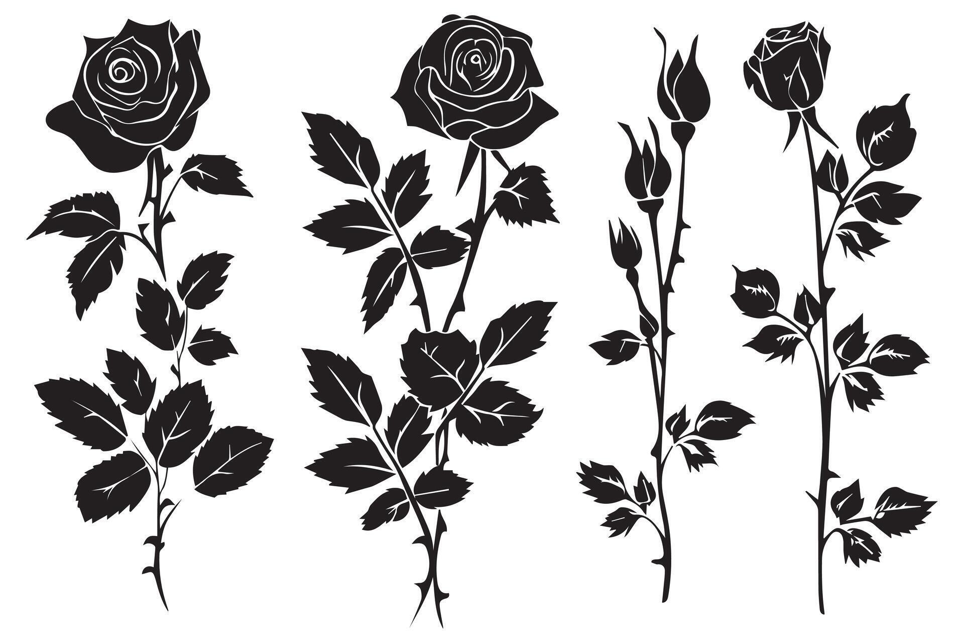 black silhouette Set of rose with leaves Flower black silhouette white