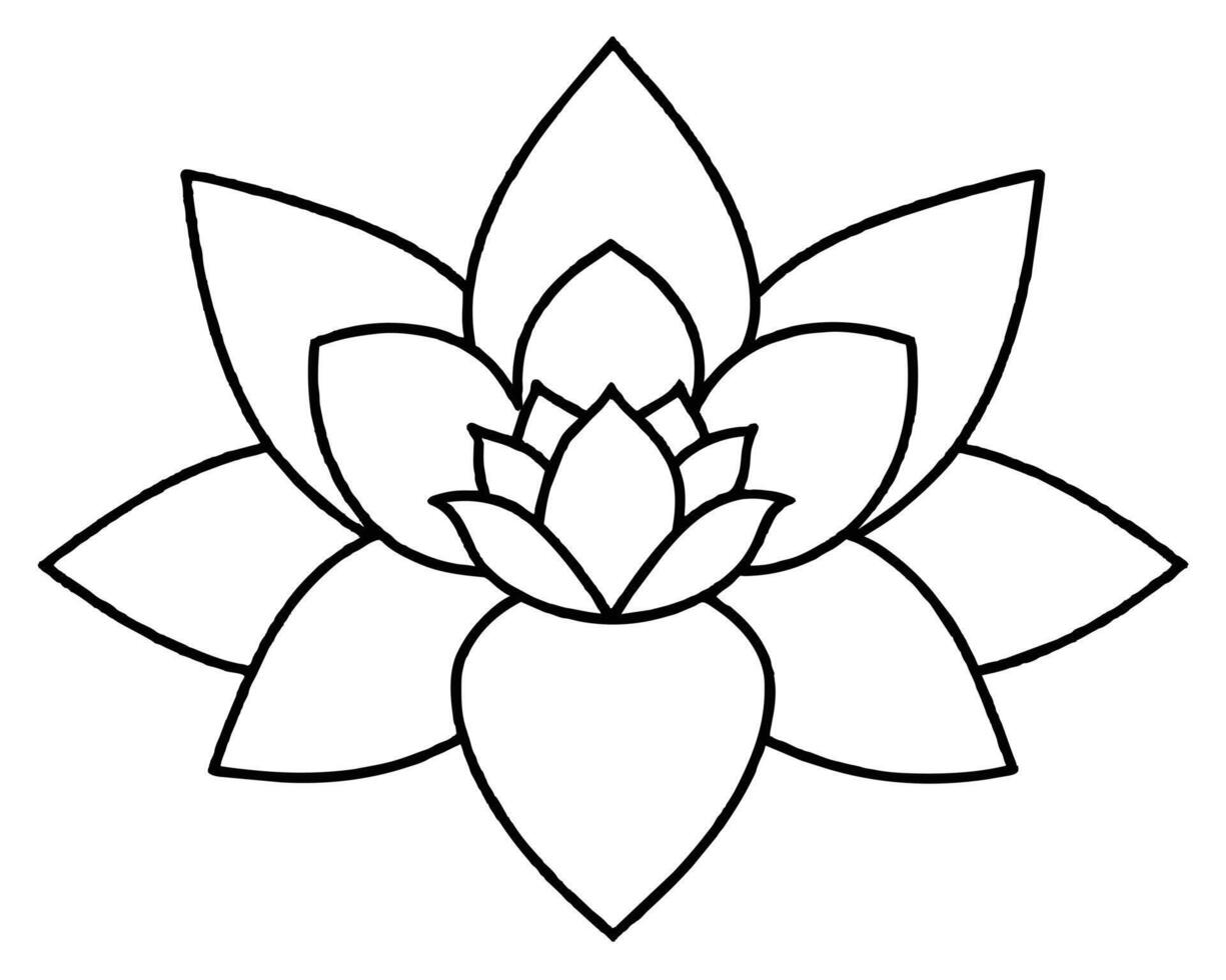 Lily of the valley outline vector