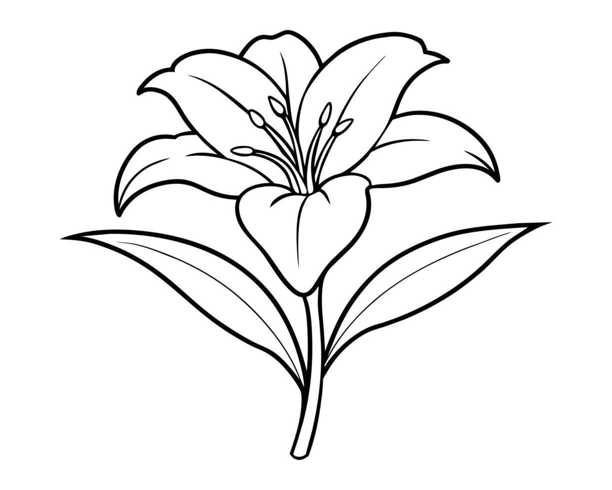 Lily of the valley outline vector