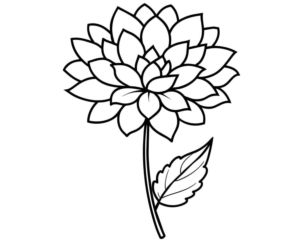 Lily of the valley outline vector