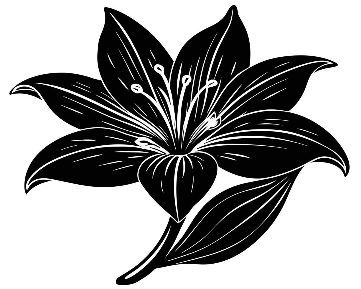 Lily of the valley outline vector