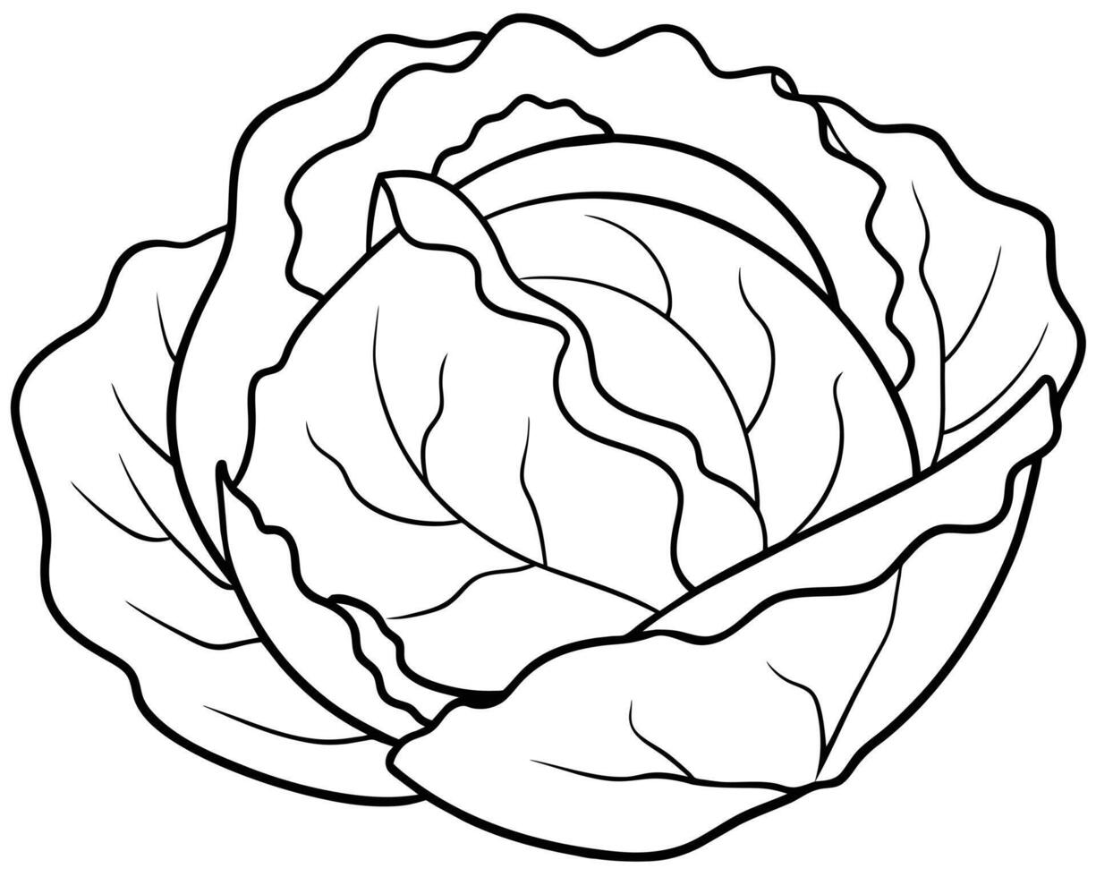 Black and White Cartoon Illustration of Cabbage vector