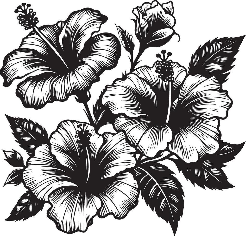 Hibiscus flowers drawing and sketch with line art, black color silhouette vector