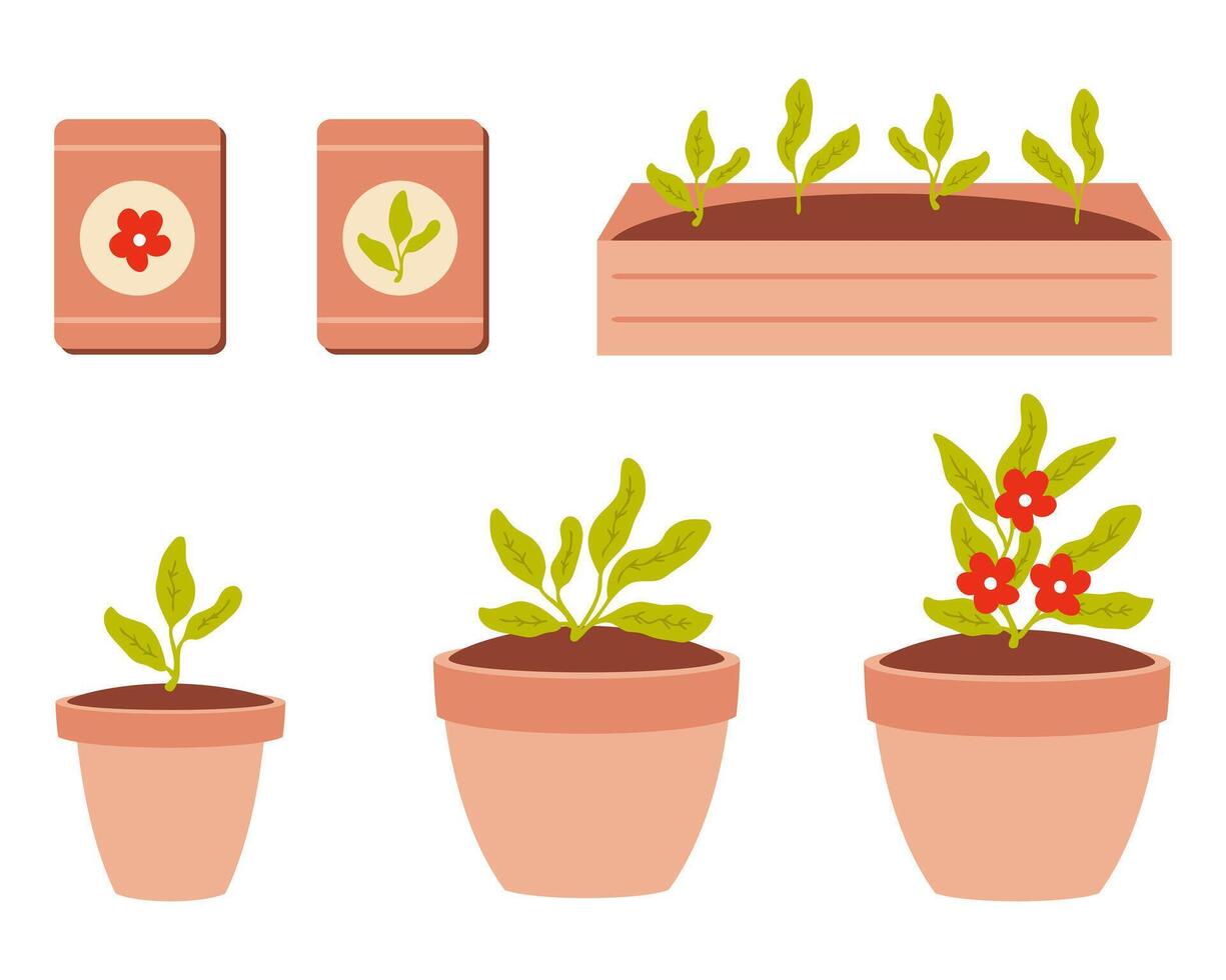 mano dibujado siembra y crecimiento de flor plántulas clipart recopilación. tomando cuidado de plantas concepto. ilustración aislado en blanco antecedentes. vector