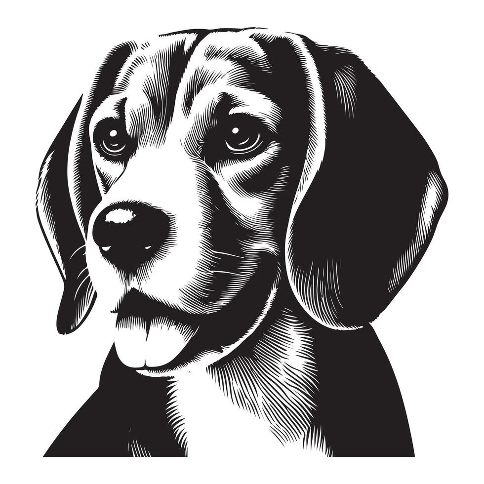 beautiful beagle dog, black color silhouette vector