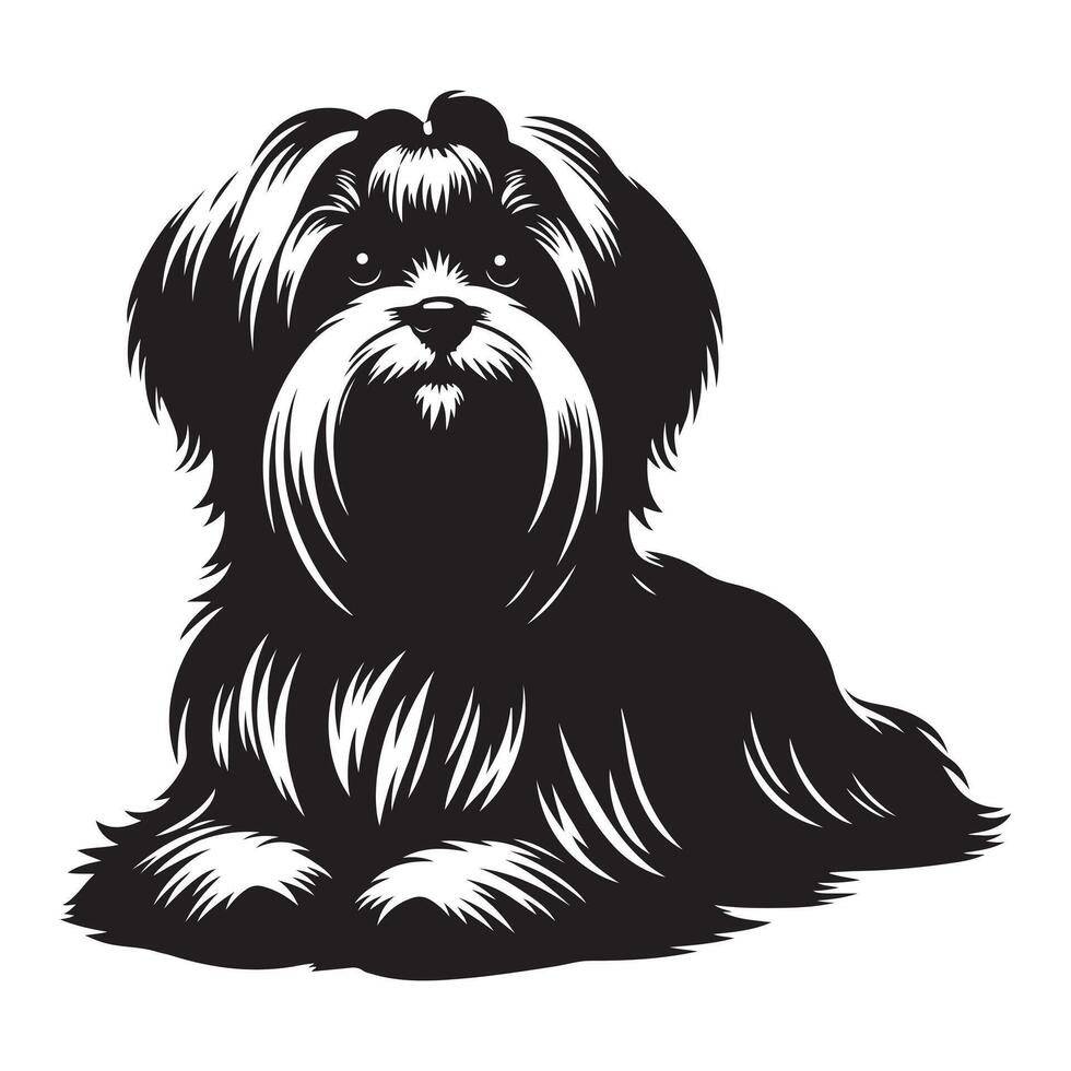 maltés perro , negro color silueta vector