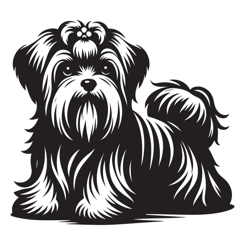 Maltese dog , black color silhouette vector