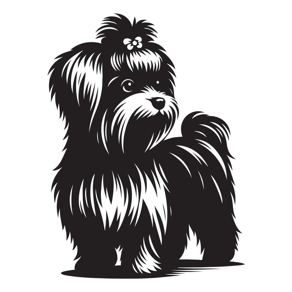 maltés perro , negro color silueta vector