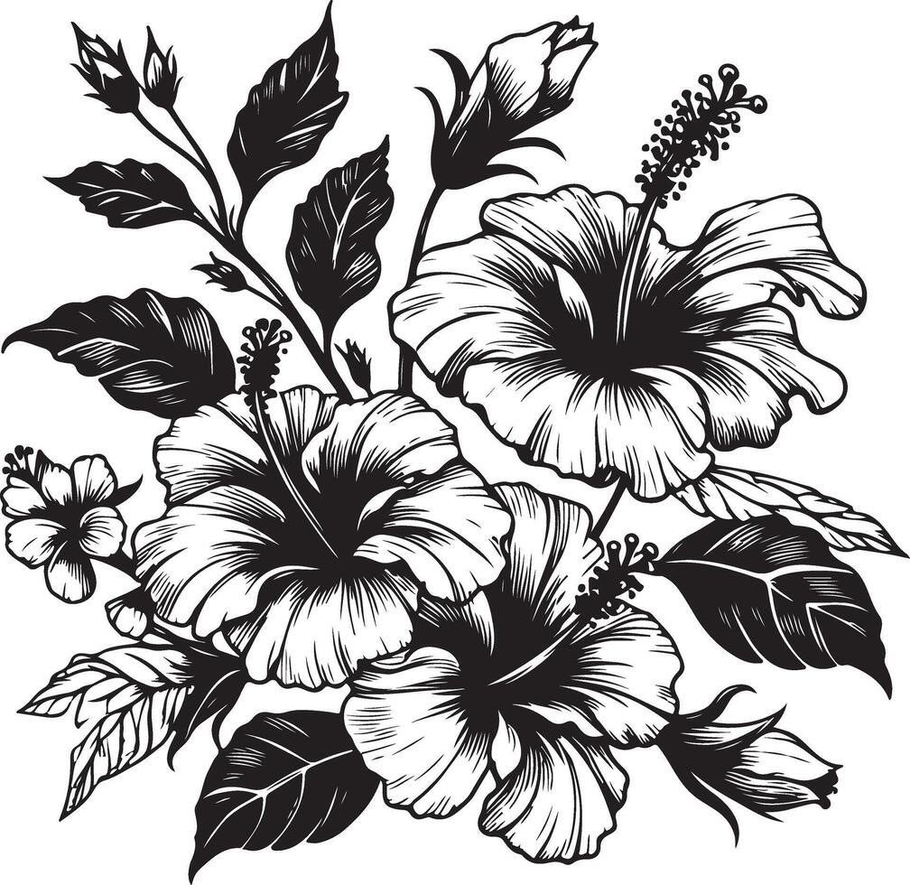 Hibiscus flowers drawing and sketch with line art, black color silhouette vector