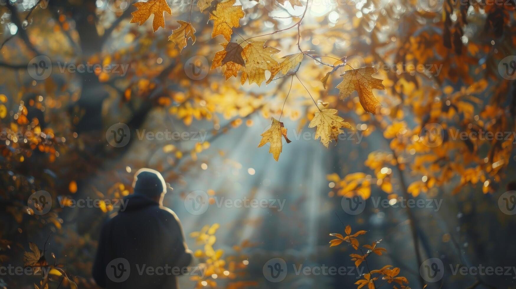 Sunlight filters through the leaves casting a warm glow on the man as he practices forest photo