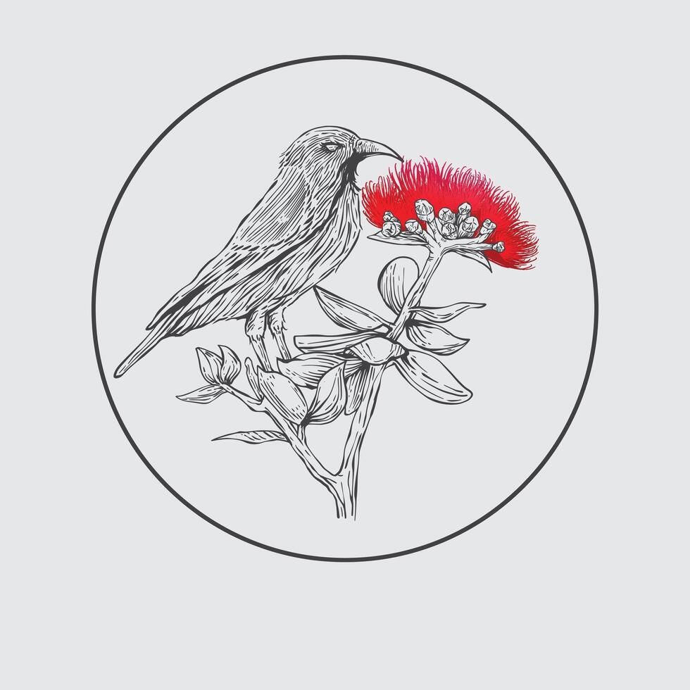 mano dibujado lehua pájaro y flor bosquejo en grabado estilo vector