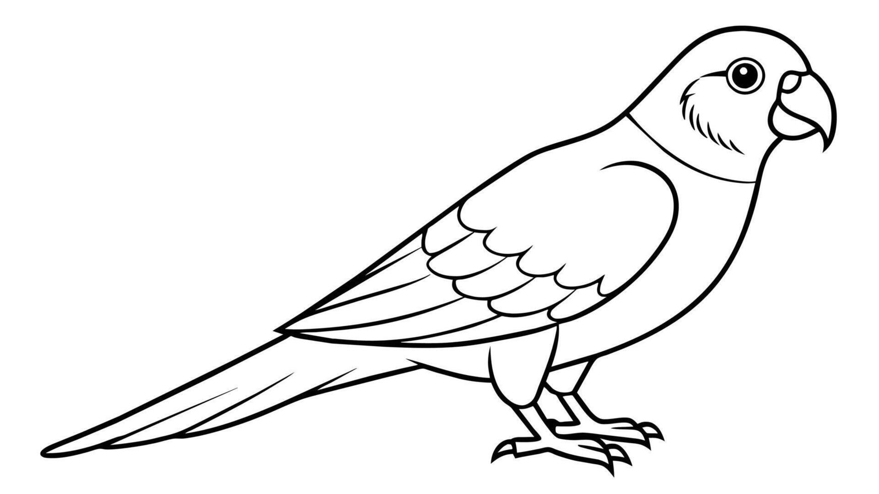 Boukers Parrot Stunning Illustration for Your Designs vector