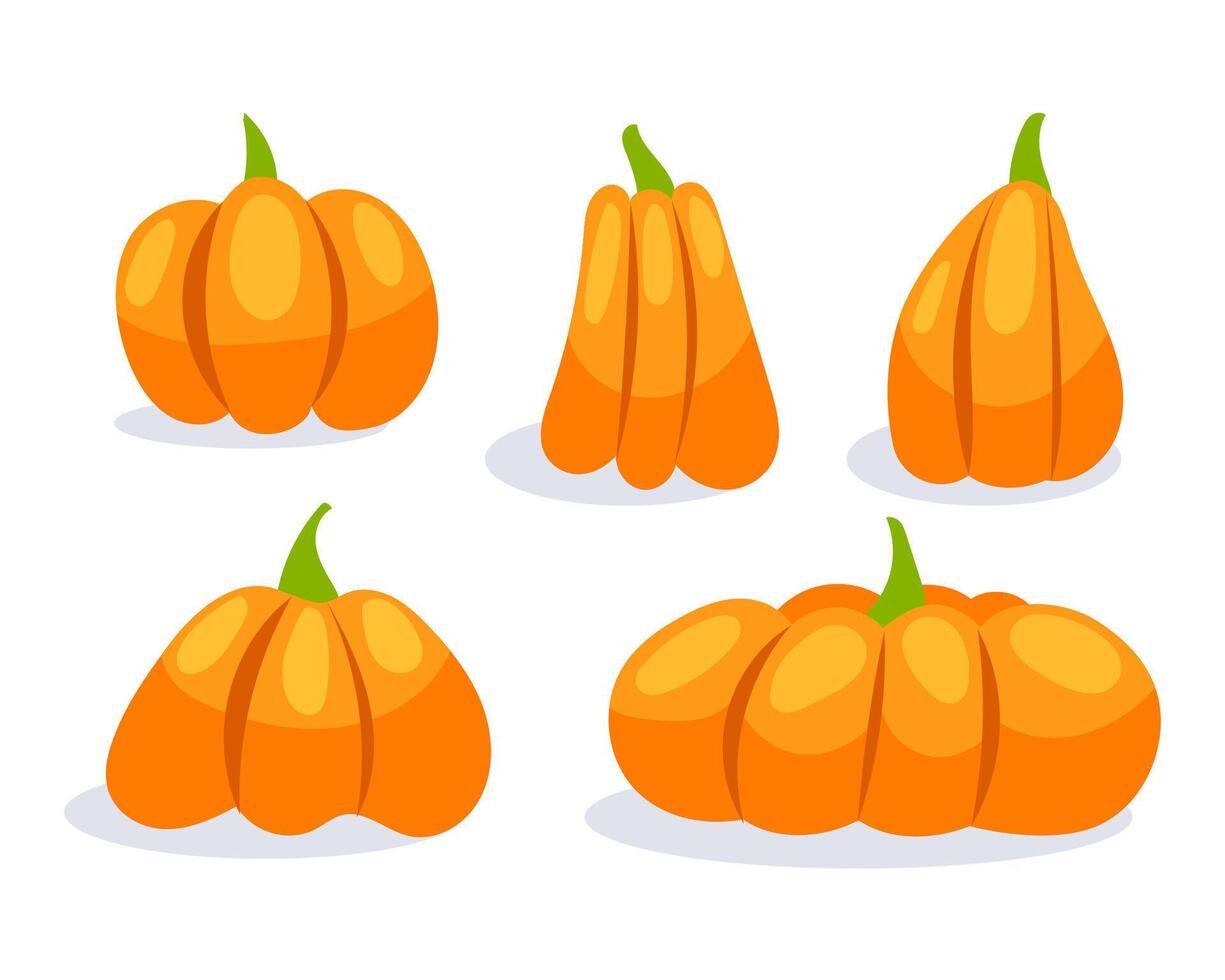 Pumpkin flat icons set. Halloween pumpkin. Thanksgiving pictogram vector