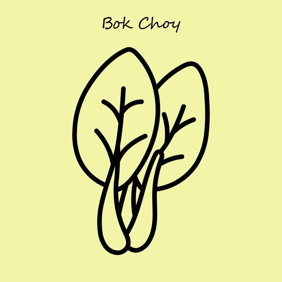 Bok Choy Illustration vector