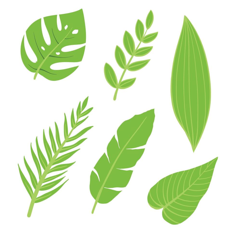 tropical leaf collection set editable vector