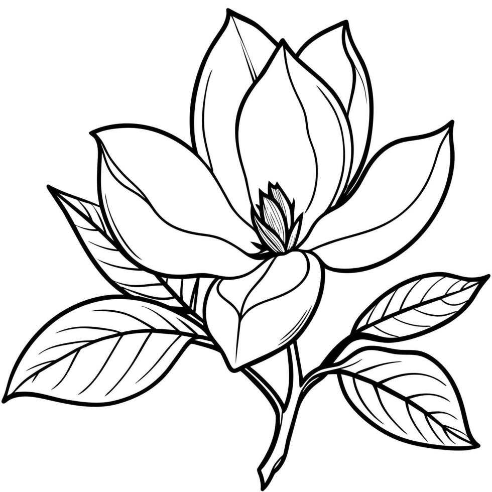 Magnolia flower outline illustration coloring book page design,Magnolia flower black and white line art drawing coloring book pages for children and adults vector