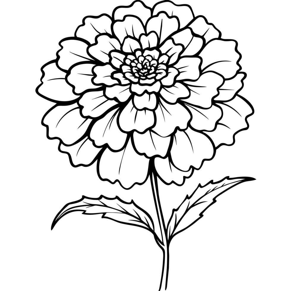 Marigold Flower Bouquet outline illustration coloring book page design, Marigold Flower Bouquet black and white line art drawing coloring book pages for children and adults vector