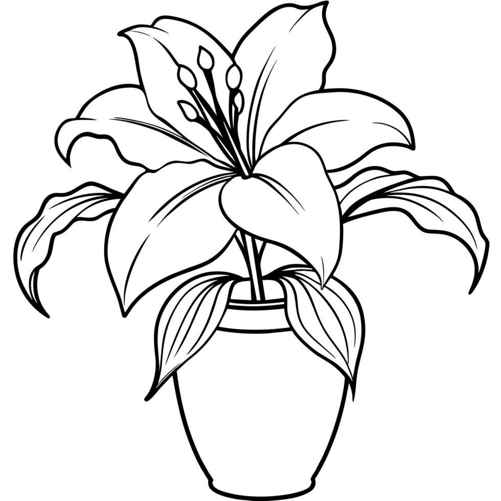 Lily Flower outline illustration coloring book page design, Lily Flower black and white line art drawing coloring book pages for children and adults vector