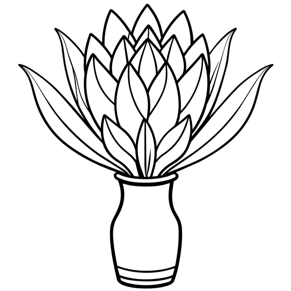 Protea flower outline illustration coloring book page design, Protea flower black and white line art drawing coloring book pages for children and adults vector