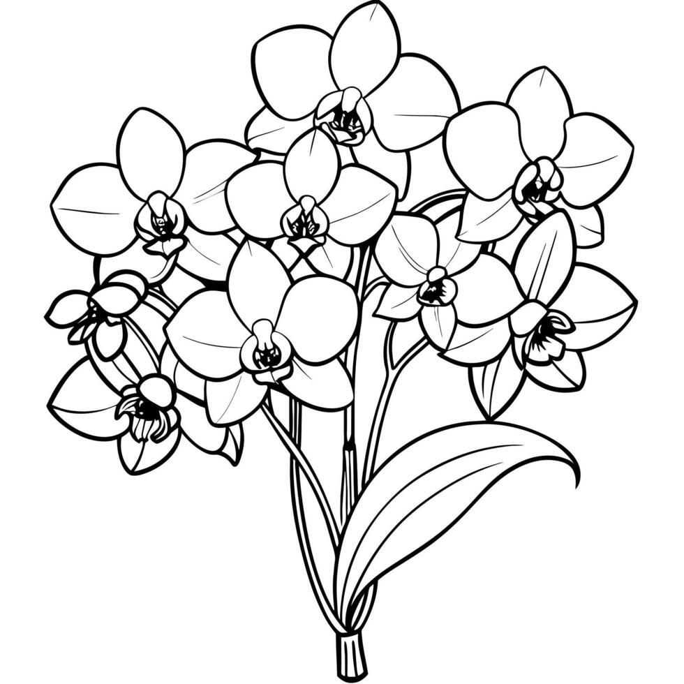 Orchid flower outline illustration coloring book page design, Orchid flower Bouquet black and white line art drawing coloring book pages for children and adults vector