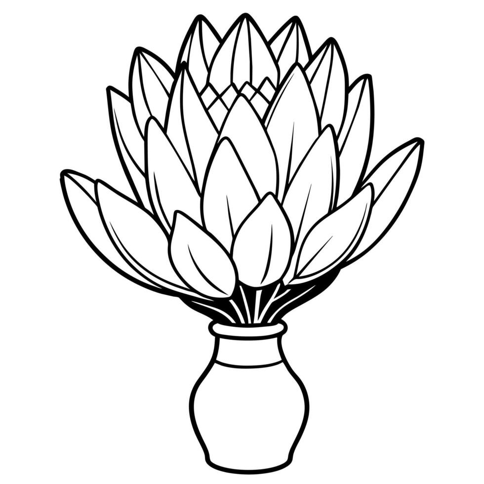 Protea flower outline illustration coloring book page design, Protea flower black and white line art drawing coloring book pages for children and adults vector