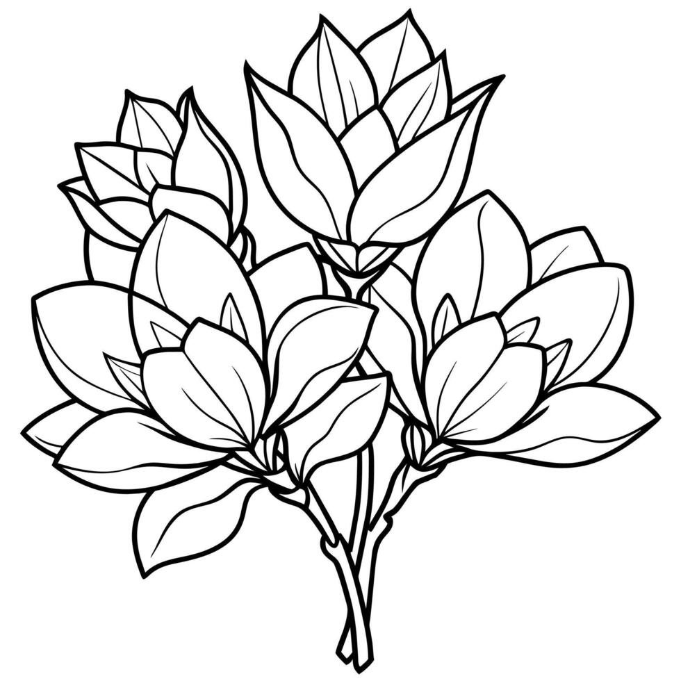 Magnolia Flower outline illustration coloring book page design, Magnolia Flower black and white line art drawing coloring book pages for children and adults vector