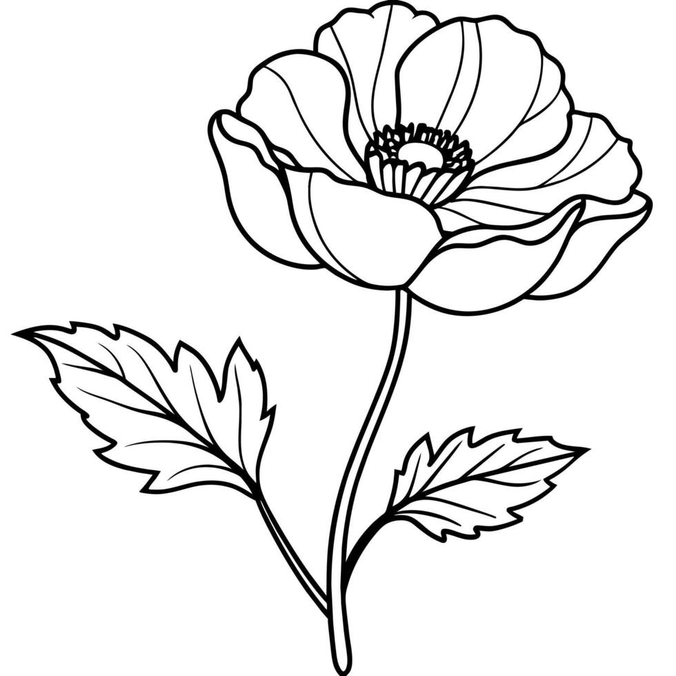 Poppy Flower outline illustration coloring book page design, Poppy Flower black and white line art drawing coloring book pages for children and adults vector