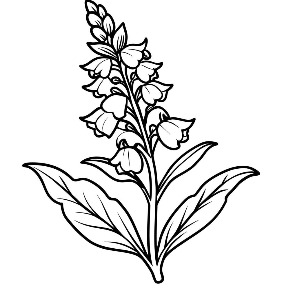 Snapdragon flower outline illustration coloring book page design