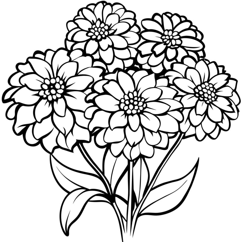 Zinnia Flower outline illustration coloring book page design, Zinnia Flower black and white line art drawing coloring book pages for children and adults vector