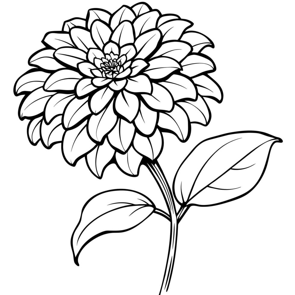 Zinnia Flower outline illustration coloring book page design, Zinnia Flower black and white line art drawing coloring book pages for children and adults vector