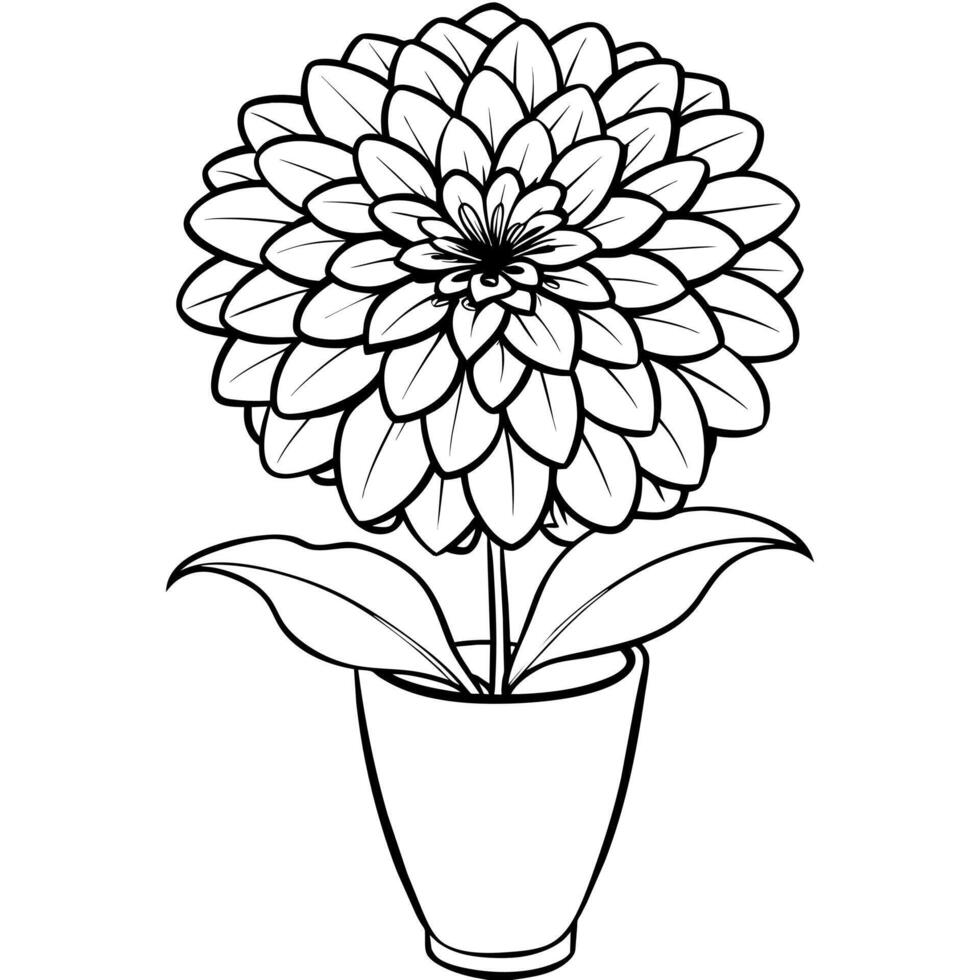 Zinnia Flower outline illustration coloring book page design, Zinnia Flower black and white line art drawing coloring book pages for children and adults vector