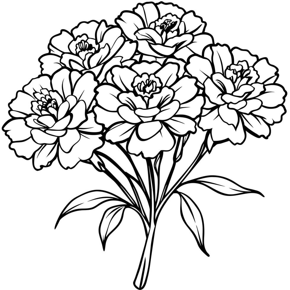 Marigold Flower Bouquet outline illustration coloring book page design, Marigold Flower Bouquet black and white line art drawing coloring book pages for children and adults vector