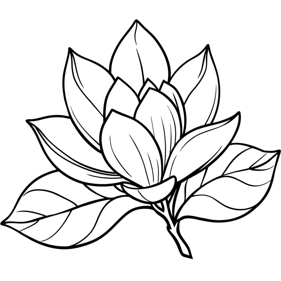 Magnolia flower outline illustration coloring book page design,Magnolia flower black and white line art drawing coloring book pages for children and adults vector