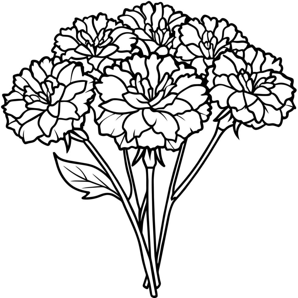 Marigold Flower Bouquet outline illustration coloring book page design, Marigold Flower Bouquet black and white line art drawing coloring book pages for children and adults vector