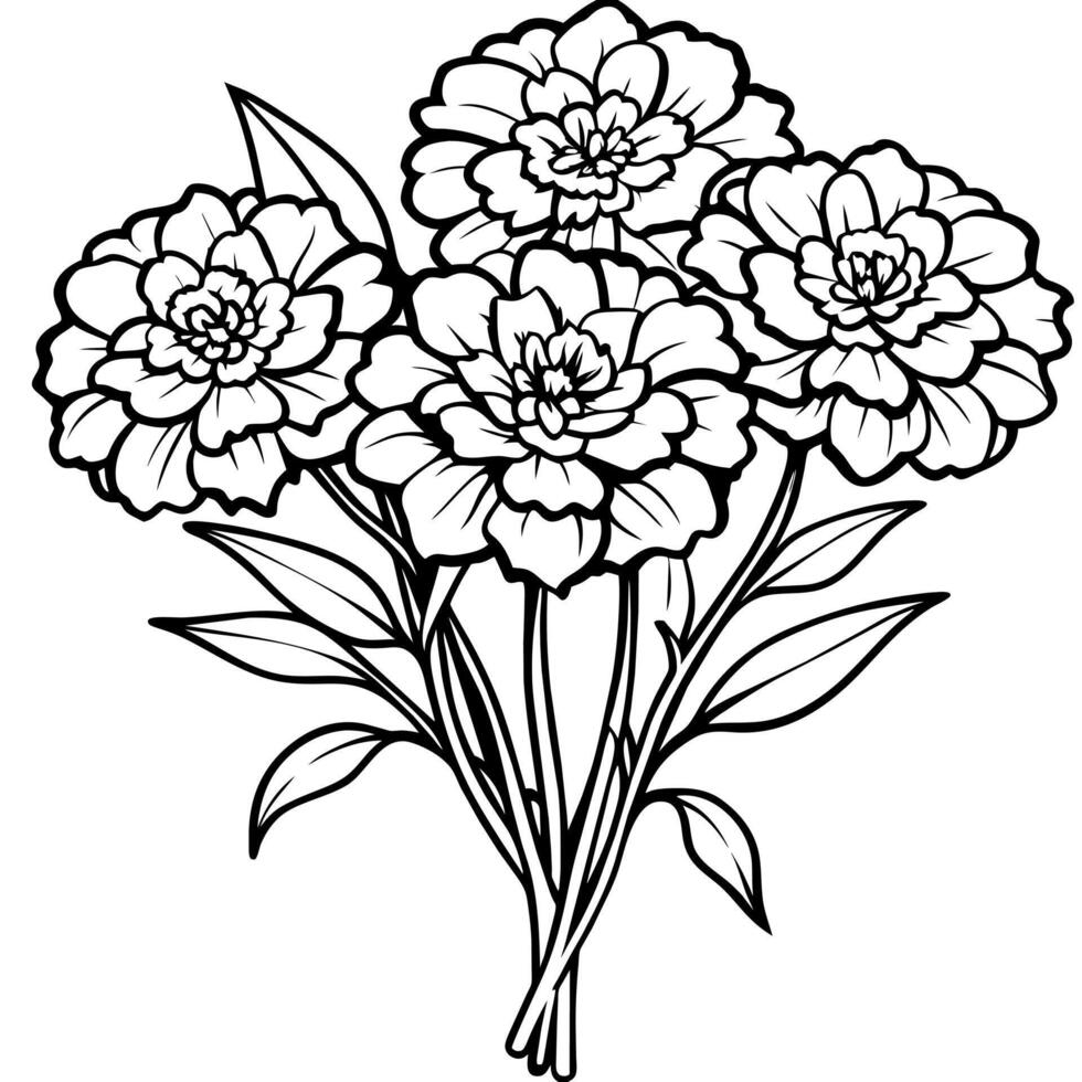 Marigold Flower Bouquet outline illustration coloring book page design, Marigold Flower Bouquet black and white line art drawing coloring book pages for children and adults vector
