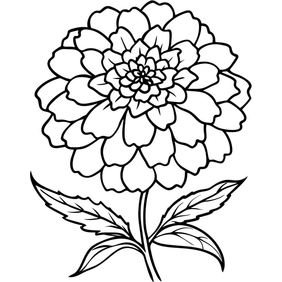 Marigold Flower Bouquet outline illustration coloring book page design, Marigold Flower Bouquet black and white line art drawing coloring book pages for children and adults vector