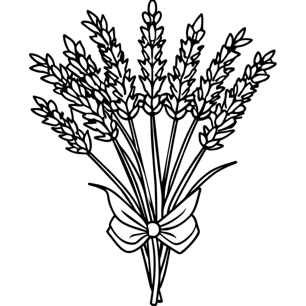 Lavender flower outline illustration coloring book page design, Lavender black and white line art drawing coloring book pages for children and adults vector